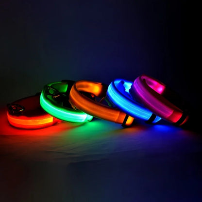 Aura LED Night Safety Collar: Visibilidad y Estilo Nocturno | Aura Pet Atelier