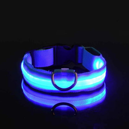 Aura LED Night Safety Collar: Visibilidad y Estilo Nocturno | Aura Pet Atelier