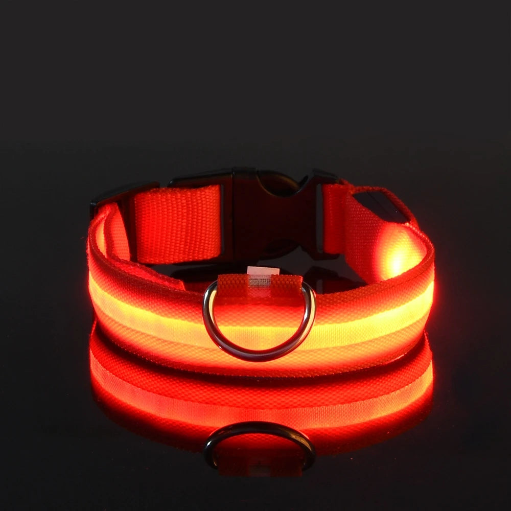 Aura LED Night Safety Collar: Visibilidad y Estilo Nocturno | Aura Pet Atelier